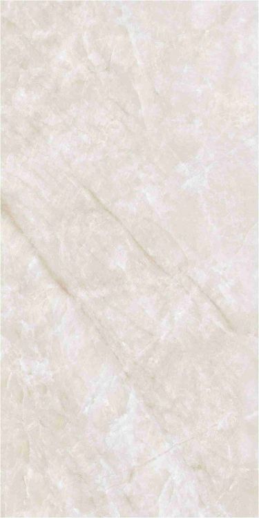 OL Taj Mahal Cream Polished 12 x 24